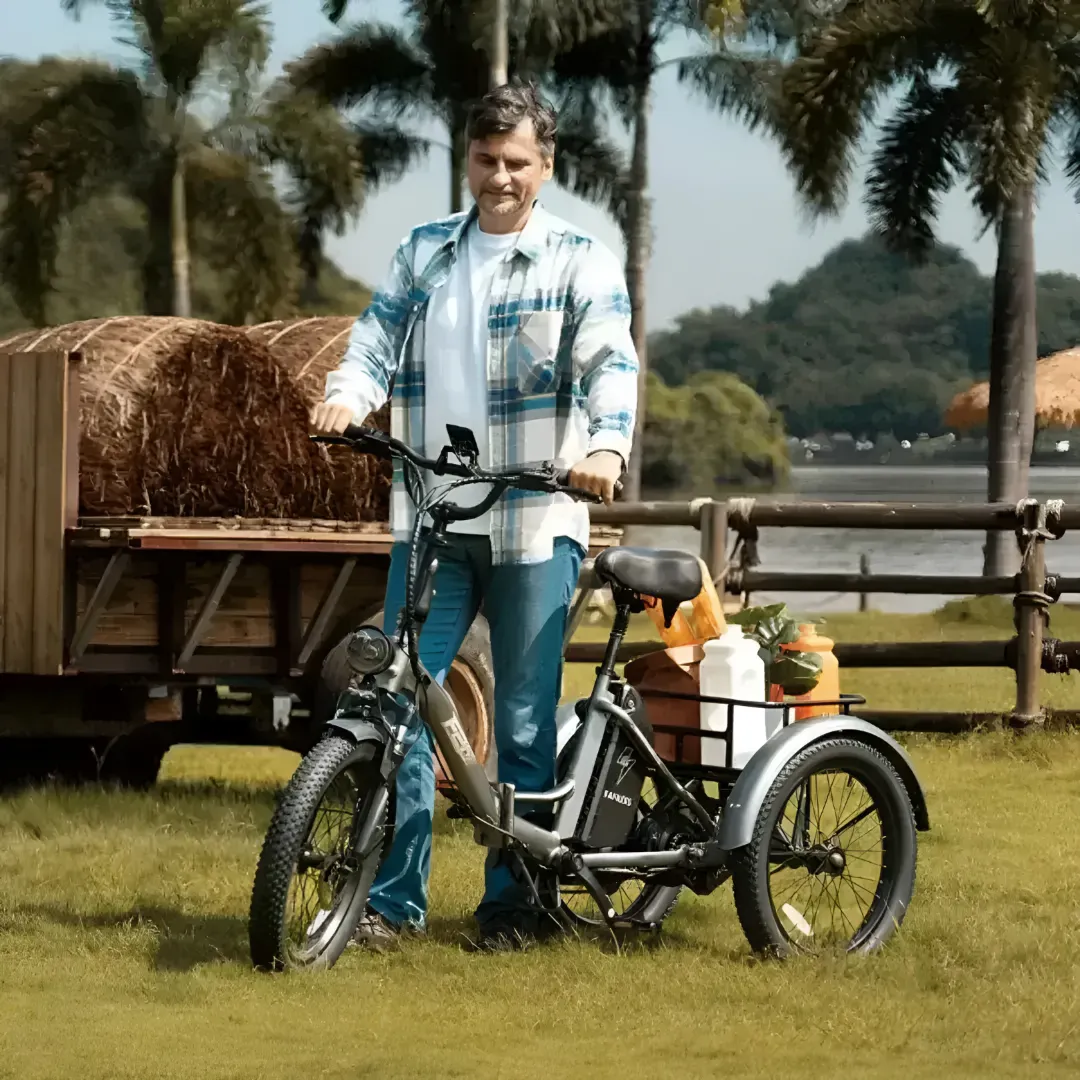 1753532112-1 (18) Fafrees F20 Mate hopfällbar elektrisk cykel - Image 1